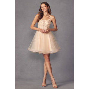 Embroidered Bodice Glitter Tulle A-Line Dress 883