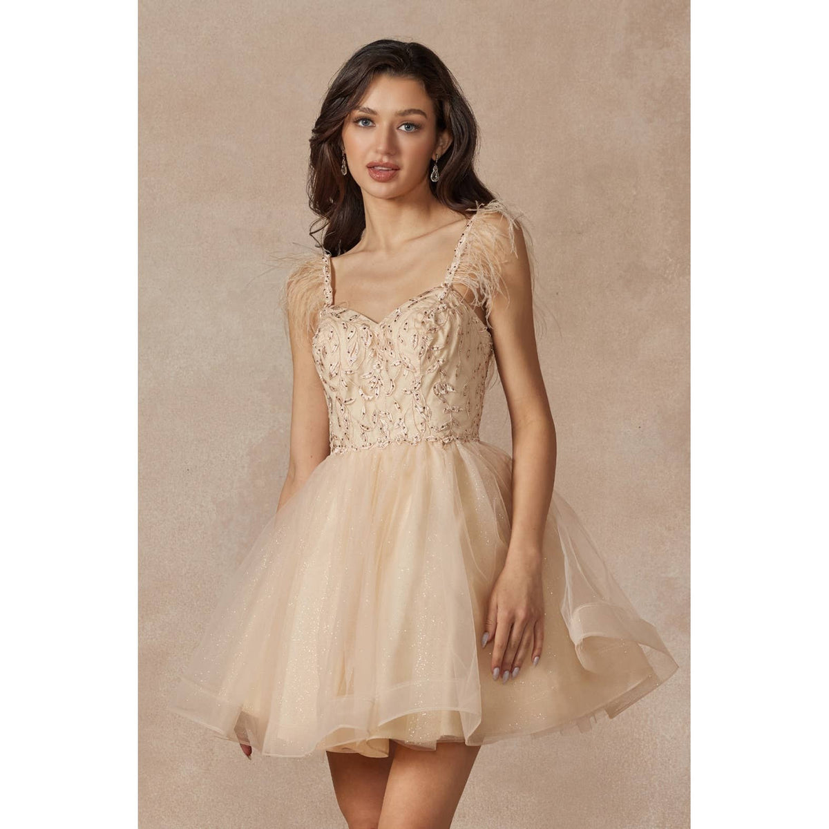 FEATHER STRAPS SHEER BODICE SHORT DRESS