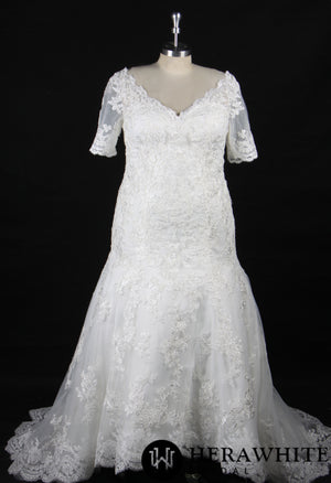 Plus Size Sheath With Delicate Lace Motifs Wedding Dress